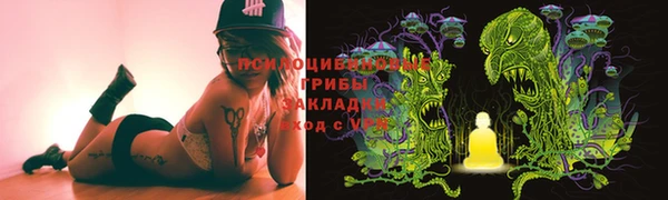 прущая мука Каменка