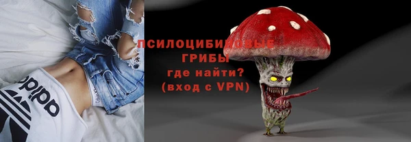 прущая мука Каменка