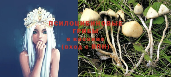 прущая мука Каменка