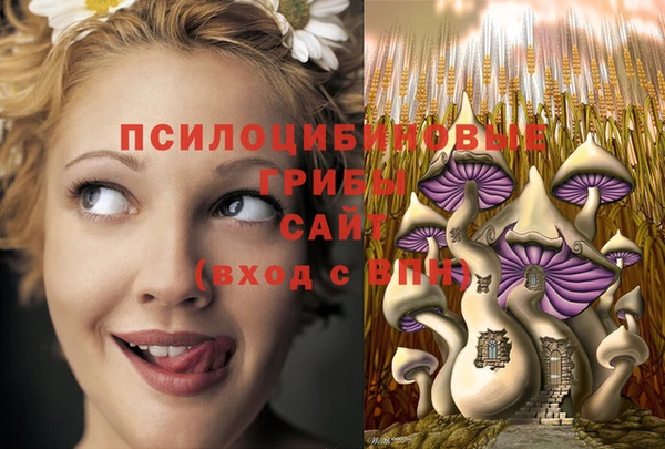 дурь Каменск-Шахтинский