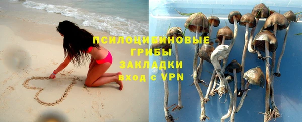 меф Каменногорск